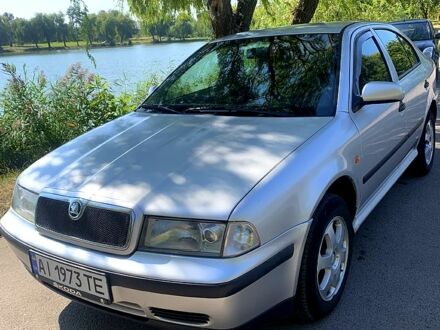 Шкода Октавия 1999 в Ровно на Automoto.ua Серый Шкода Октавия, объемом двигателя 1.9 л и пробегом 456 тыс. км за 3500 $, фото 1 на Automoto.ua
