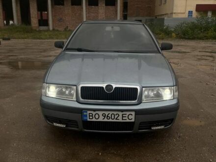 Серый Шкода Октавия, объемом двигателя 1.6 л и пробегом 250 тыс. км за 3700 $, фото 1 на Automoto.ua