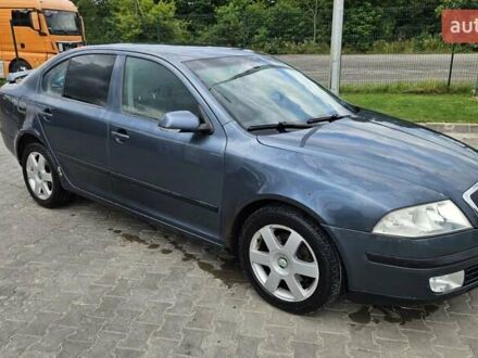 Шкода Октавія 2004 у Рожище на Automoto.ua Сірий Шкода Октавія, об'ємом двигуна 1.9 л та пробігом 440 тис. км за 4000 $, фото 1 на Automoto.ua