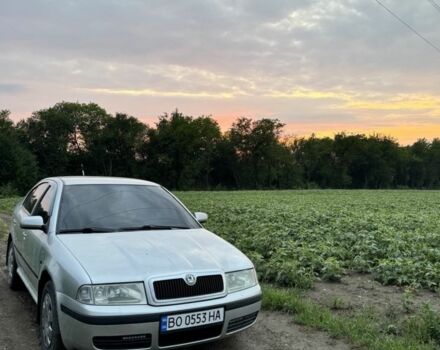 Серый Шкода Октавия, объемом двигателя 1.6 л и пробегом 350 тыс. км за 4300 $, фото 1 на Automoto.ua