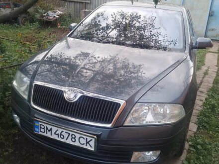 Шкода Октавія 2005 у Харкові на Automoto.ua Сірий Шкода Октавія, об'ємом двигуна 1.98 л та пробігом 224 тис. км за 4500 $, фото 1 на Automoto.ua