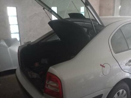 Шкода Октавия 2005 в Казатине на Automoto.ua Серый Шкода Октавия, объемом двигателя 1.6 л и пробегом 247 тыс. км за 1999 $, фото 1 на Automoto.ua