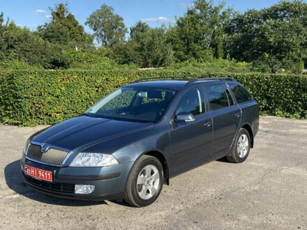 Шкода Октавия 2006 в Ахтырке на Automoto.ua Серый Шкода Октавия, объемом двигателя 1.6 л и пробегом 178 тыс. км за 6800 $, фото 1 на Automoto.ua