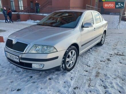 Шкода Октавія 2006 у Борисполе на Automoto.ua Сірий Шкода Октавія, об'ємом двигуна 1.6 л та пробігом 306 тис. км за 4499 $, фото 1 на Automoto.ua