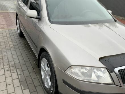 Шкода Октавія 2007 у Сарнах на Automoto.ua Сірий Шкода Октавія, об'ємом двигуна 1.9 л та пробігом 390 тис. км за 6400 $, фото 1 на Automoto.ua