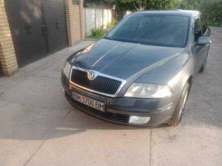 Шкода Октавия 2007 в Конотопе на Automoto.ua Серый Шкода Октавия, объемом двигателя 1.6 л и пробегом 270 тыс. км за 5100 $, фото 1 на Automoto.ua