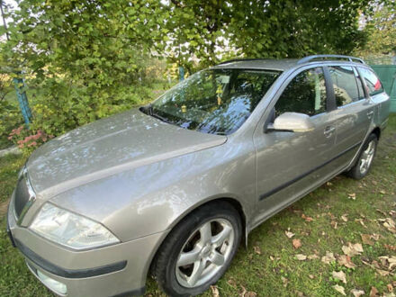 Шкода Октавия 2007 в Радивилове на Automoto.ua Серый Шкода Октавия, объемом двигателя 1.98 л и пробегом 238 тыс. км за 6200 $, фото 1 на Automoto.ua