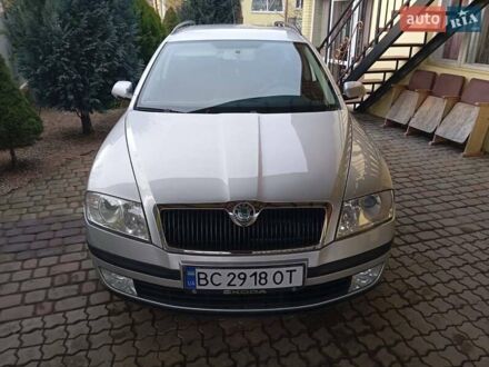 Шкода Октавия 2007 в Бориславе на Automoto.ua Серый Шкода Октавия, объемом двигателя 1.9 л и пробегом 299 тыс. км за 5900 $, фото 1 на Automoto.ua