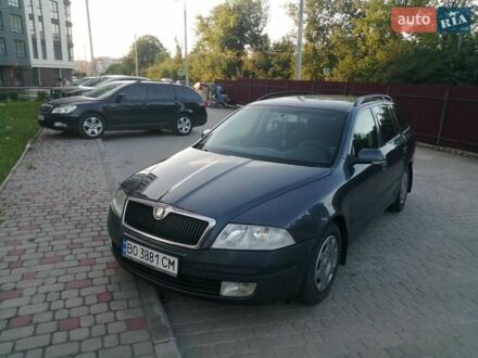 Шкода Октавия 2007 в Тернополе на Automoto.ua Серый Шкода Октавия, объемом двигателя 1.9 л и пробегом 342 тыс. км за 5000 $, фото 1 на Automoto.ua