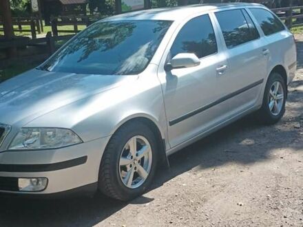 Шкода Октавія 2008 у Сарнах на Automoto.ua Сірий Шкода Октавія, об'ємом двигуна 1.9 л та пробігом 210 тис. км за 7000 $, фото 1 на Automoto.ua