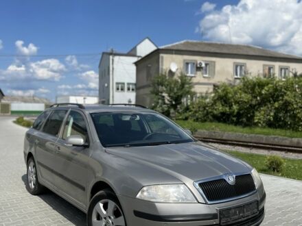 Шкода Октавия 2008 в Сарнах на Automoto.ua Серый Шкода Октавия, объемом двигателя 1.9 л и пробегом 280 тыс. км за 3210 $, фото 1 на Automoto.ua