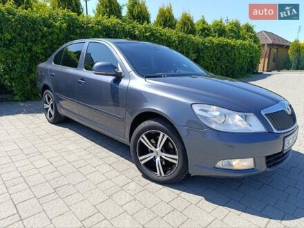 Шкода Октавия 2008 в Стрые на Automoto.ua Серый Шкода Октавия, объемом двигателя 1.9 л и пробегом 241 тыс. км за 7500 $, фото 1 на Automoto.ua