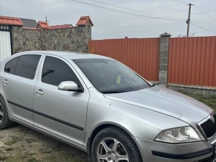 Шкода Октавия 2008 в Городке на Automoto.ua Серый Шкода Октавия, объемом двигателя 1.9 л и пробегом 248 тыс. км за 6000 $, фото 1 на Automoto.ua