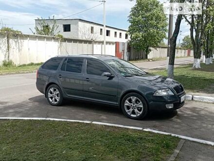 Шкода Октавия 2008 в Малой Виске на Automoto.ua Серый Шкода Октавия, объемом двигателя 1.6 л и пробегом 167 тыс. км за 8599 $, фото 1 на Automoto.ua