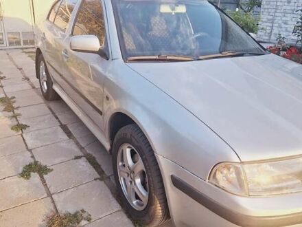 Шкода Октавия 2009 в Полтаве на Automoto.ua Серый Шкода Октавия, объемом двигателя 1.39 л и пробегом 177 тыс. км за 6700 $, фото 1 на Automoto.ua