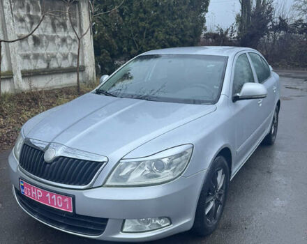 Серый Шкода Октавия, объемом двигателя 1.4 л и пробегом 217 тыс. км за 6700 $, фото 1 на Automoto.ua