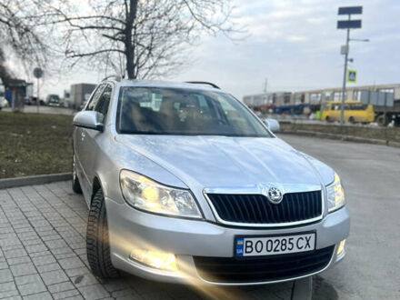 Шкода Октавия 2009 в Тернополе на Automoto.ua Серый Шкода Октавия, объемом двигателя 1.8 л и пробегом 227 тыс. км за 8200 $, фото 1 на Automoto.ua