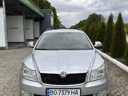 Шкода Октавия 2009 в Тернополе на Automoto.ua Серый Шкода Октавия, объемом двигателя 1.9 л и пробегом 333 тыс. км за 6300 $, фото 1 на Automoto.ua