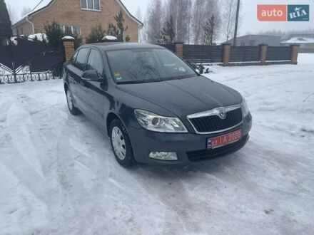 Сірий Шкода Октавія, об'ємом двигуна 1.6 л та пробігом 81 тис. км за 8550 $, фото 1 на Automoto.ua