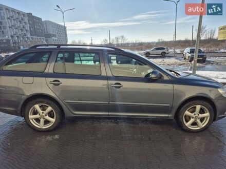 Шкода Октавия 2009 в Львове на Automoto.ua Серый Шкода Октавия, объемом двигателя 1.97 л и пробегом 234 тыс. км за 8400 $, фото 1 на Automoto.ua