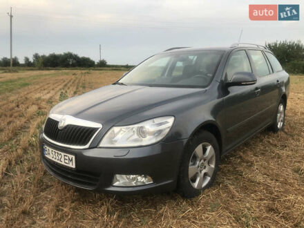 Шкода Октавия 2009 в Кропивницком (Кировограде) на Automoto.ua Серый Шкода Октавия, объемом двигателя 1.8 л и пробегом 176 тыс. км за 7800 $, фото 1 на Automoto.ua