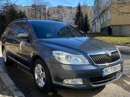 Шкода Октавия 2010 в Львове на Automoto.ua Серый Шкода Октавия, объемом двигателя 1.6 л и пробегом 225 тыс. км за 8800 $, фото 1 на Automoto.ua