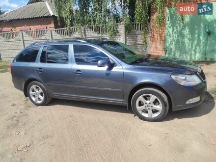 Шкода Октавія 2010 у Полтаві на Automoto.ua Сірий Шкода Октавія, об'ємом двигуна 1.97 л та пробігом 279 тис. км за 8900 $, фото 1 на Automoto.ua