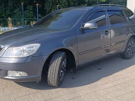 Шкода Октавия 2010 в Ладыжин на Automoto.ua Серый Шкода Октавия, объемом двигателя 1.6 л и пробегом 302 тыс. км за 7699 $, фото 1 на Automoto.ua