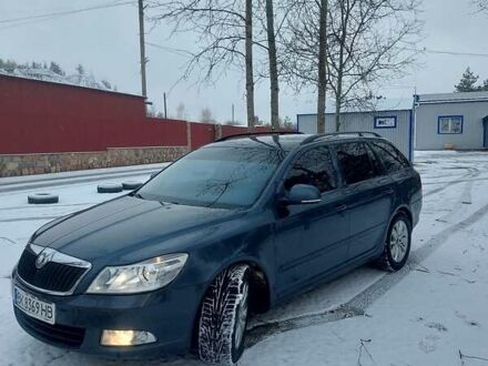 Шкода Октавія 2010 у Сарнах на Automoto.ua Сірий Шкода Октавія, об'ємом двигуна 1.4 л та пробігом 208 тис. км за 7500 $, фото 1 на Automoto.ua