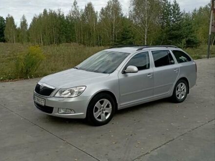 Шкода Октавия 2010 в Славуте на Automoto.ua Серый Шкода Октавия, объемом двигателя 1.2 л и пробегом 170 тыс. км за 7000 $, фото 1 на Automoto.ua