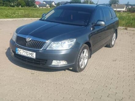 Шкода Октавия 2010 в Городке на Automoto.ua Серый Шкода Октавия, объемом двигателя 1.97 л и пробегом 301 тыс. км за 8500 $, фото 1 на Automoto.ua