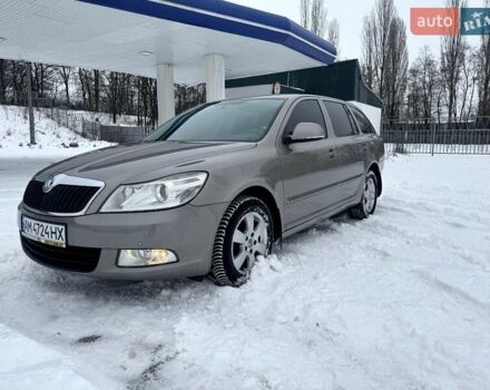 Серый Шкода Октавия, объемом двигателя 1.39 л и пробегом 232 тыс. км за 6200 $, фото 1 на Automoto.ua
