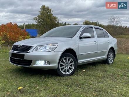 Шкода Октавия 2010 в Ромнах на Automoto.ua Серый Шкода Октавия, объемом двигателя 1.6 л и пробегом 133 тыс. км за 8700 $, фото 1 на Automoto.ua