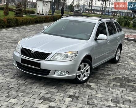 Серый Шкода Октавия, объемом двигателя 1.99 л и пробегом 234 тыс. км за 9800 $, фото 1 на Automoto.ua