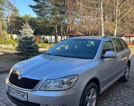Серый Шкода Октавия, объемом двигателя 1.6 л и пробегом 250 тыс. км за 9400 $, фото 1 на Automoto.ua