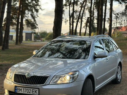 Шкода Октавия 2011 в Сумах на Automoto.ua Серый Шкода Октавия, объемом двигателя 1.4 л и пробегом 238 тыс. км за 7700 $, фото 1 на Automoto.ua