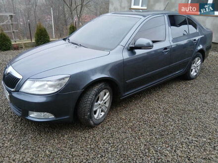 Серый Шкода Октавия, объемом двигателя 1.6 л и пробегом 280 тыс. км за 7900 $, фото 1 на Automoto.ua