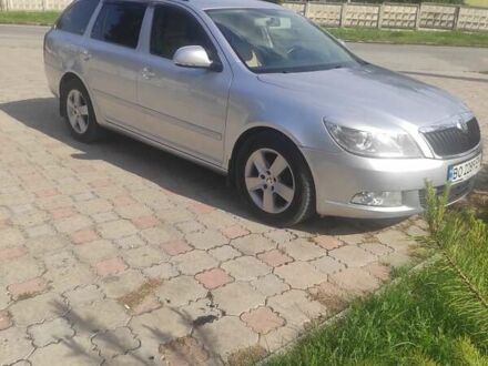 Серый Шкода Октавия, объемом двигателя 1.97 л и пробегом 251 тыс. км за 9500 $, фото 1 на Automoto.ua