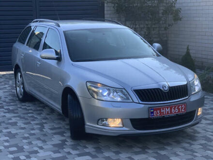 Сірий Шкода Октавія, об'ємом двигуна 0 л та пробігом 160 тис. км за 7699 $, фото 1 на Automoto.ua