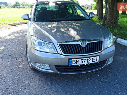 Серый Шкода Октавия, объемом двигателя 1.8 л и пробегом 210 тыс. км за 8200 $, фото 1 на Automoto.ua