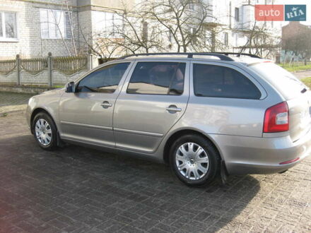 Сірий Шкода Октавія, об'ємом двигуна 1.6 л та пробігом 219 тис. км за 10000 $, фото 1 на Automoto.ua