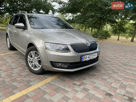 Шкода Октавия 2013 в Кропивницком (Кировограде) на Automoto.ua Серый Шкода Октавия, объемом двигателя 1.97 л и пробегом 236 тыс. км за 12100 $, фото 1 на Automoto.ua