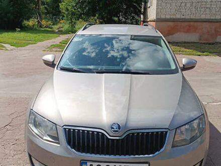 Шкода Октавия 2013 в Шостке на Automoto.ua Серый Шкода Октавия, объемом двигателя 1.6 л и пробегом 268 тыс. км за 10200 $, фото 1 на Automoto.ua