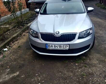 Серый Шкода Октавия, объемом двигателя 1.6 л и пробегом 246 тыс. км за 9900 $, фото 1 на Automoto.ua