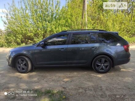 Шкода Октавия 2014 в Житомире на Automoto.ua Серый Шкода Октавия, объемом двигателя 1.6 л и пробегом 262 тыс. км за 11199 $, фото 1 на Automoto.ua
