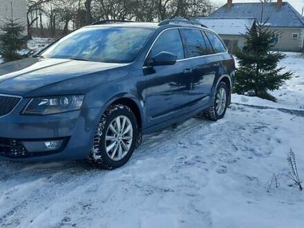 Шкода Октавия 2016 в Жидачов на Automoto.ua Серый Шкода Октавия, объемом двигателя 1.97 л и пробегом 225 тыс. км за 13300 $, фото 1 на Automoto.ua