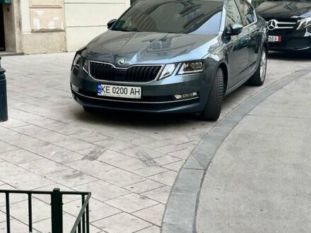 Шкода Октавия 2019 в Днепре (Днепропетровске) на Automoto.ua Серый Шкода Октавия, объемом двигателя 1.97 л и пробегом 149 тыс. км за 17300 $, фото 1 на Automoto.ua