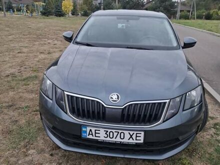 Шкода Октавія 2019 у Києві на Automoto.ua Сірий Шкода Октавія, об'ємом двигуна 1.4 л та пробігом 141 тис. км за 14500 $, фото 1 на Automoto.ua