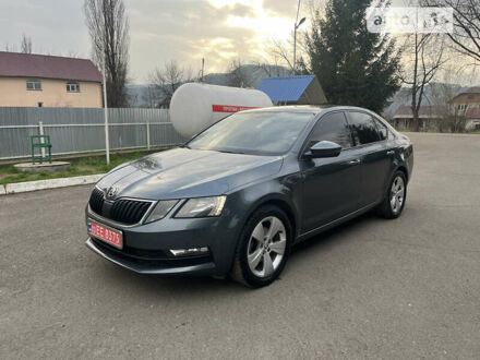 Шкода Октавія 2019 у Тячеве на Automoto.ua Сірий Шкода Октавія, об'ємом двигуна 2 л та пробігом 236 тис. км за 17400 $, фото 1 на Automoto.ua