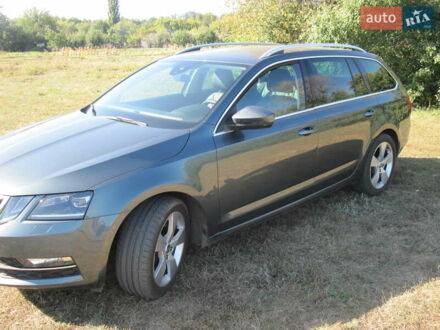Шкода Октавия 2019 в Красноград на Automoto.ua Серый Шкода Октавия, объемом двигателя 1.97 л и пробегом 174 тыс. км за 19350 $, фото 1 на Automoto.ua